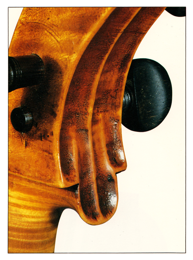 ヴァイオリンの工具痕跡    について。   自由ヶ丘