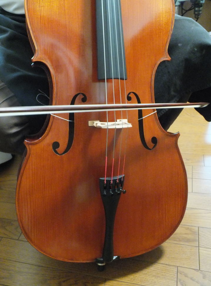 GLIGA Cello 2012年 gems Ⅰ- M L