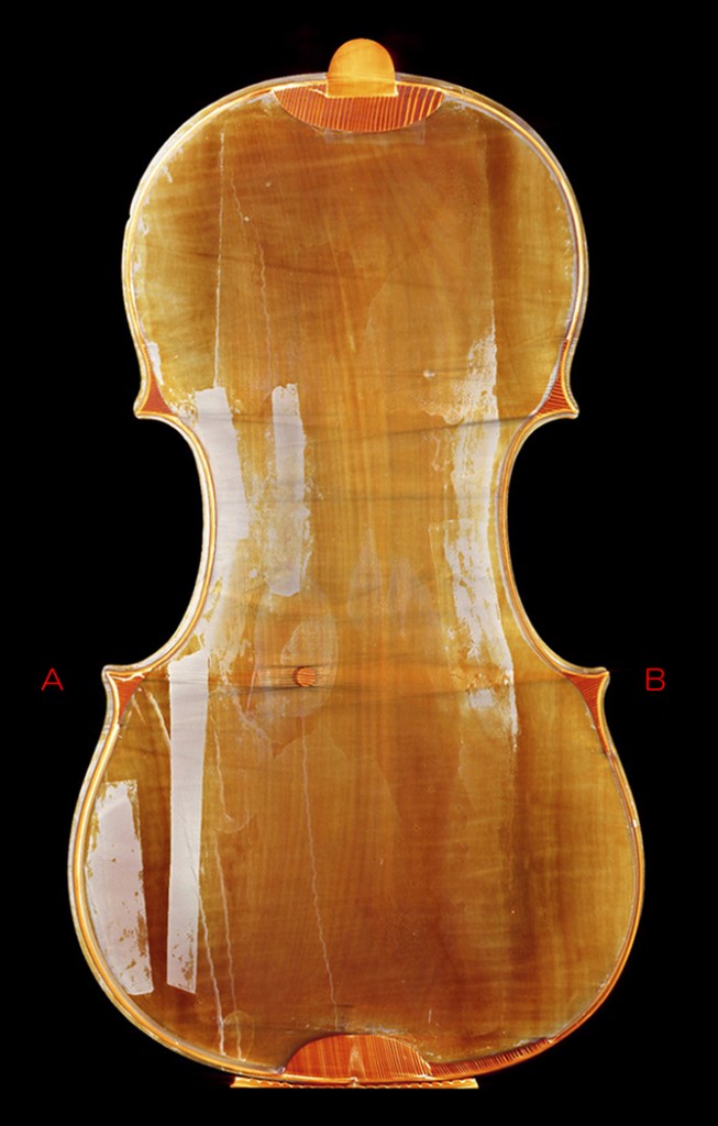 Violin back - C L