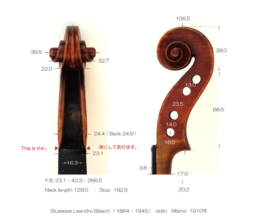 giuseppe-leandro-bisiach-violin-milano-1910%e5%b9%b4-1864-1945-%e3%80%80%e3%80%80a-l