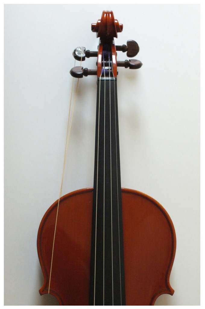 sandro-asinari-violin-2000%e5%b9%b4-7-l