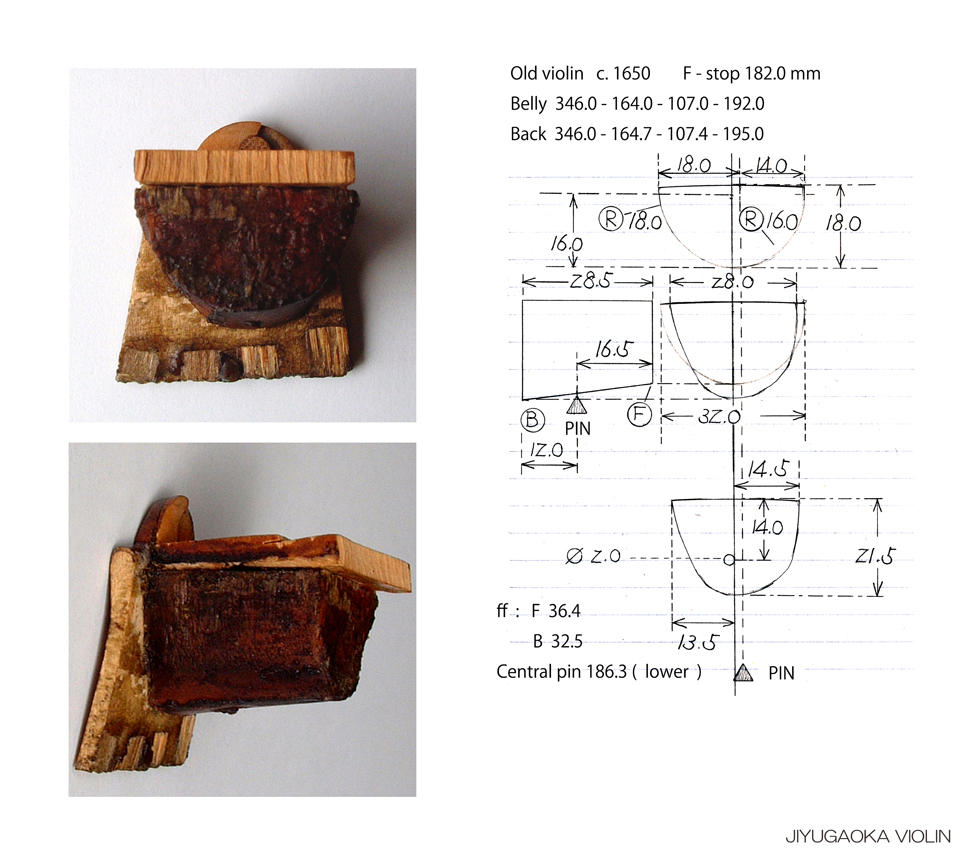 baroque-neck-block-1-l